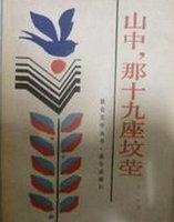那十九座坟茔电影